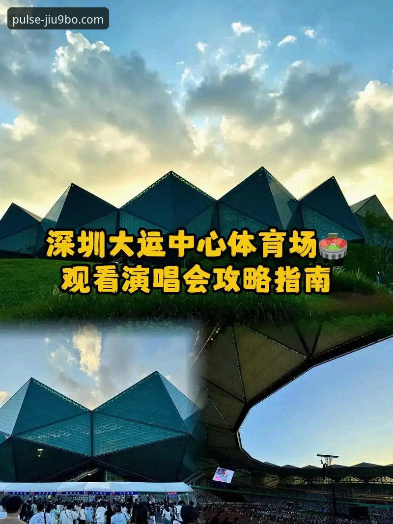 9博体育平台安卓版下载安装实用指南：新版本功能详解与操作技巧