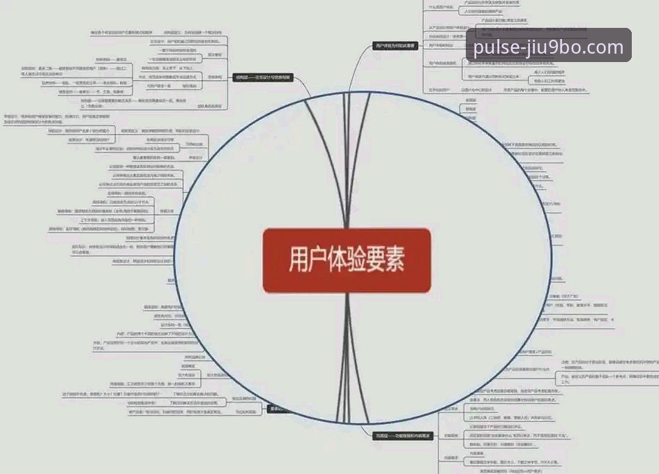 9博体育平台的用户体验深度分析：从入门到精通的全方位解读